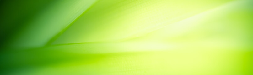 Fototapeta premium Amazing abstract background nature view of green leaf with copy space using as background natural green plants landscape, ecology,cover page, fresh wallpaper concept.