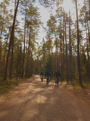 bike trip at forest © Kamil
