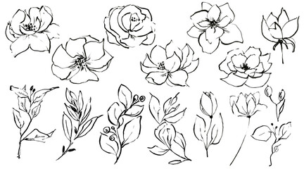 set of hand-drawn ink flowers and leaves isolated on a white background. Silhouettes of plants for stickers, scrapbooking, posters, cards, invitations, fabric decor
