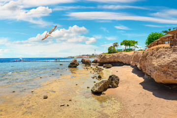 Rocky coast by sea