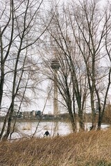 Processed with VSCO with a1 preset