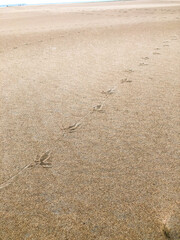 sand on the beach