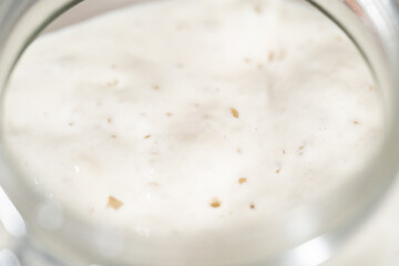 Sourdough starter