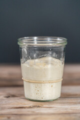 Sourdough starter