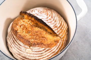 Wheat Sourdough Bread
