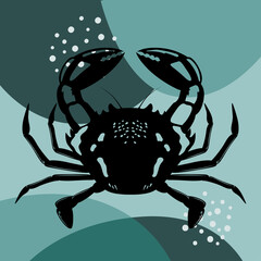 Vector image of a crab on an abstract background.