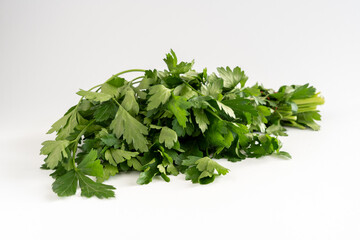 A bunch of fresh flat leaf parsley on a white background with copy space