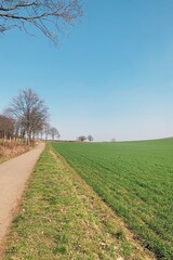 Processed with VSCO with s5 preset