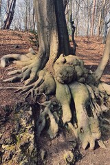 Processed with VSCO with s5 preset