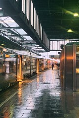 Processed with VSCO with a1 preset