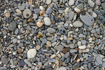Many small, different sizes of marine stones on the shore.
