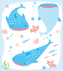 沖縄　ジンベエザメ　3ポーズイラストセット