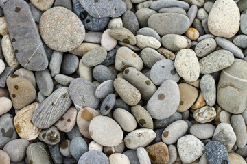 Many small, different sizes of marine stones on the shore.