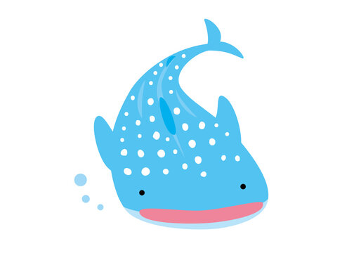566 Best ジンベイザメ Images Stock Photos Vectors Adobe Stock 566 Best ジンベイザメ Images Stock Photos Vectors Adobe Stock