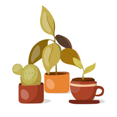 Vector illustration of potted plants