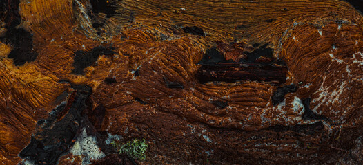 Dirty foam on the river water surface