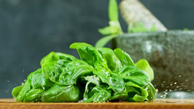 Super slow motion of falling basil