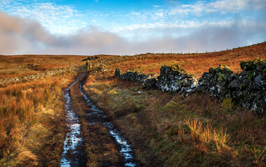 Track,Mistylaw Muir, Clyde Muirshiel Regional Park, Renfrewshire, Scotland, UK