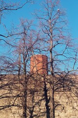 Processed with VSCO with s5 preset