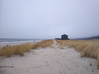 Sand dunes near the sea on a foggy day