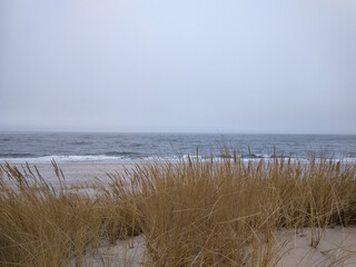 Sand dunes near the sea on a foggy day