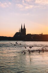 Processed with VSCO with k2 preset