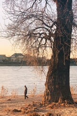 Processed with VSCO with a1 preset