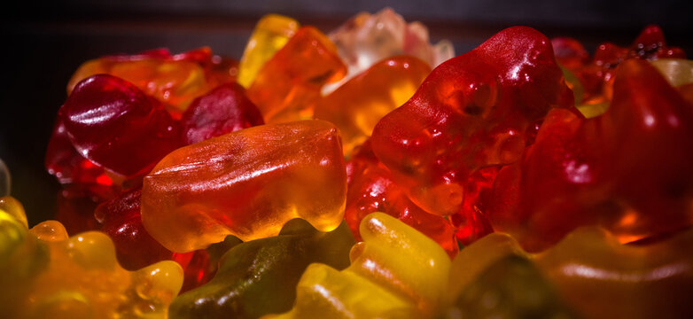Colorful Gummy Bears or jelly babies in close-up - studio photography