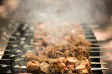 Marinated shashlik preparing on a barbecue grill over charcoal. Shashlik or Shish kebab popular in Eastern Europe. Shashlyk (skewered meat) was originally made of lamb. Roast Beef Kebabs On BBQ Grill.