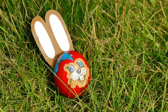 Easter bunny hidden in the grass. Decorated easter egg.