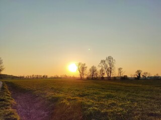 Fototapeta na wymiar tramonto su campo