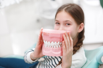 Selective focus on jaw model in hands of young girl