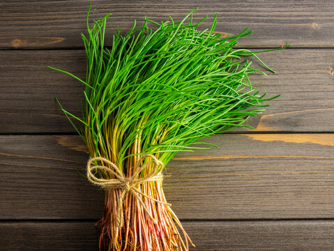 Bunch of raw salsola soda, also called agretti, barba di frate, barilla plant, opposite-leaved saltwort or monk's beard. Still life of mediterranean spring vegetables on wooden table. Flat lay.