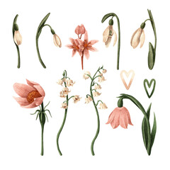 Watercolor spring. Isolated easter clipart on white background. Botanical illustration for postcards, posters, textile design and other Souvenirs.