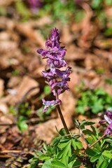 Nature outdoor colorful day