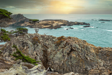 Cypress tree on a rocky point viewed from the Cypress grove trail in Point Lobos State Park on central coast of California.
