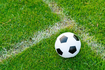Soccer ball on the ball field