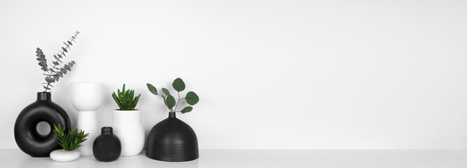 Modern black and white home decor and plants on a shelf. White shelf against a white wall. Banner...