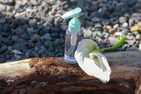 A clear sanitizer bottle standing on tree thick branch surrounded by white calla lily flower. High quality photo