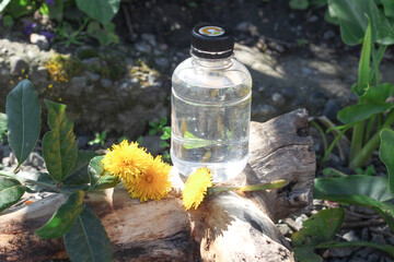 Water bottle for standing on the wood in the natural environment. Horizontal image