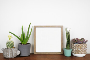 Mock up wood square frame with potted cactus and succulent plants. Wooden shelf against a white...