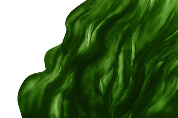 Abstract watercolor background with vibrant green color isolated at white. Liquid fluid texture.