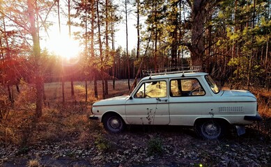 old car in the forest