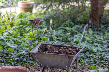 A wheelbarrow and metal Robin in a garden 