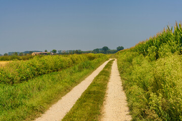 Path in the country near Bereguardo, Pavia, Italy, at September