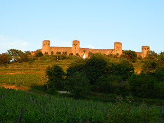 ruins of the castle