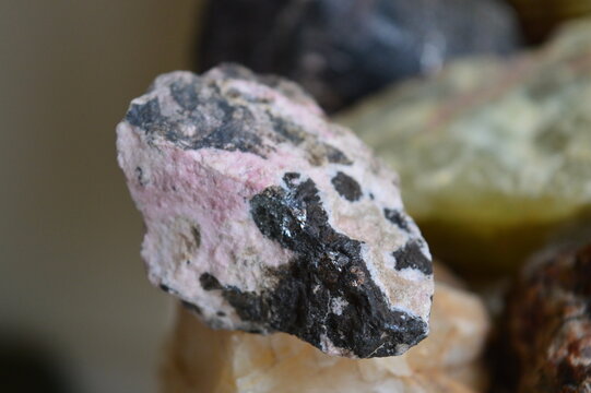 Rodonite mineral specimen on collection 