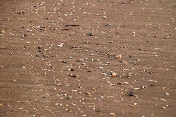 Small Pebbles And Stones In The Beach Sand