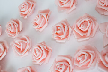 Many pink roses on a white isolated background. There is a place for your text.