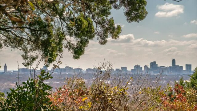 View of Trees in the Wind During Fall Season with Austin Skyline in the background
